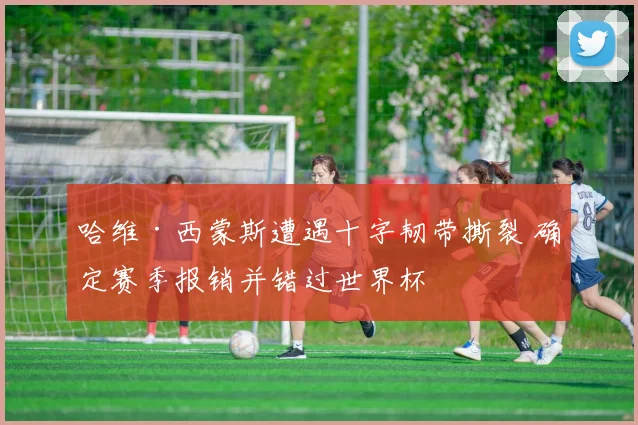 哈维·西蒙斯遭遇十字韧带撕裂 确定赛季报销并错过世界杯