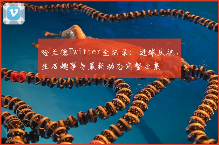 哈兰德Twitter全记录：进球庆祝、生活趣事与最新动态完整合集