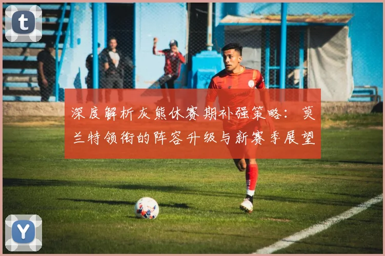 深度解析灰熊休赛期补强策略:莫兰特领衔的阵容升级与新赛季展望